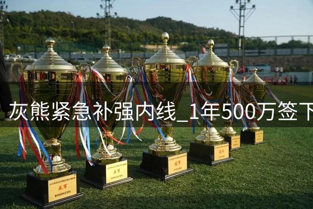 灰熊紧急补强内线 1年500万签下防守悍将比永博