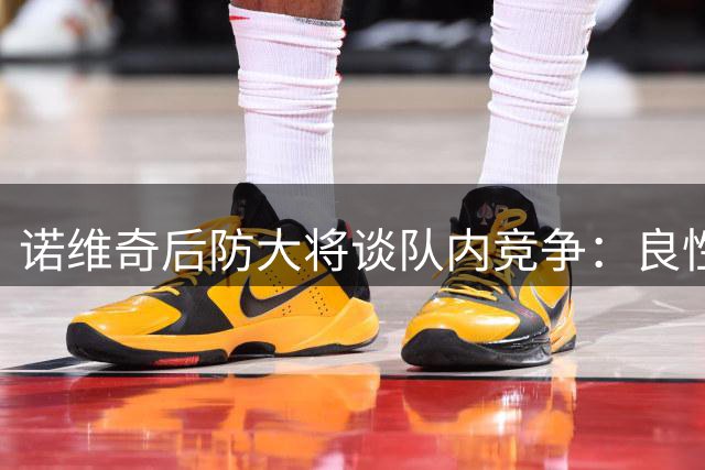 诺维奇后防大将谈队内竞争：良性压力催生最佳状态